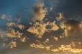DSC_0242 1_out